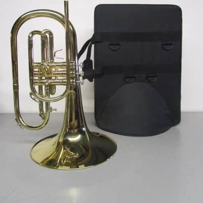 Moz Mellophone with Case image 1