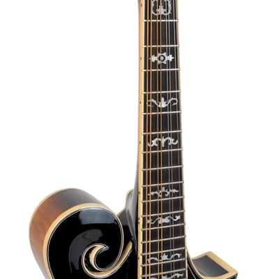 Gold Tone Mastertone™ GM-70+: F-Style Mandolin with Case image 18