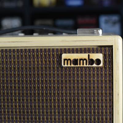 Mambo Amp 10" combo image 2