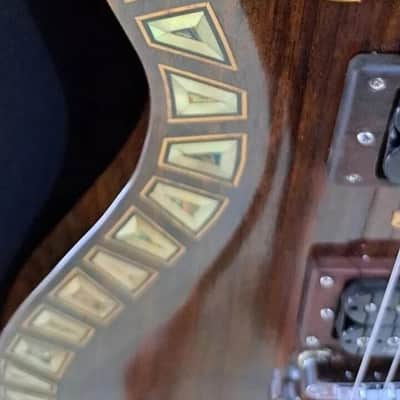 Electric Guitar Handmade by Blueberry Guitars Double Cutaway Seymour Duncan Pickups image 8
