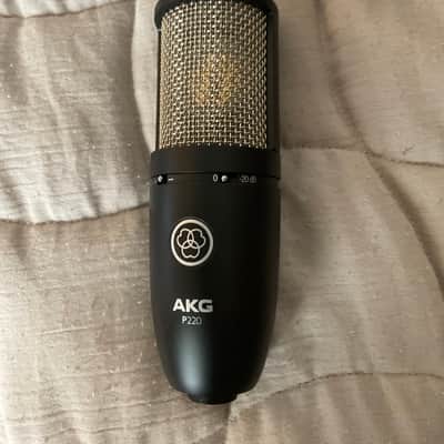 AKG Project Studio P220 Large Diaphragm Condenser Microphone with Pop Filter and XLR to XLR Cable - With Pop Filter and XLR Cable image 2