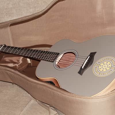 Taylor GS Mini E TM Special Edition Acoustic-Electric Guitar image 21