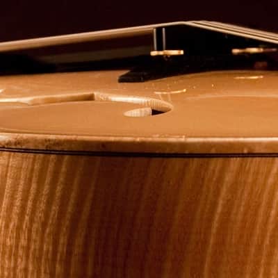 Buscarino Custom Artisan (2010) image 14