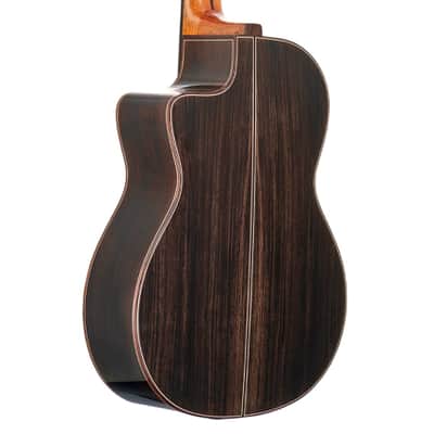 7-String Classical Nylon Guitar – Gayetana A77 | Full Scale 55mm Nut | Jazz / Latin / Extended Range - Cedar image 8