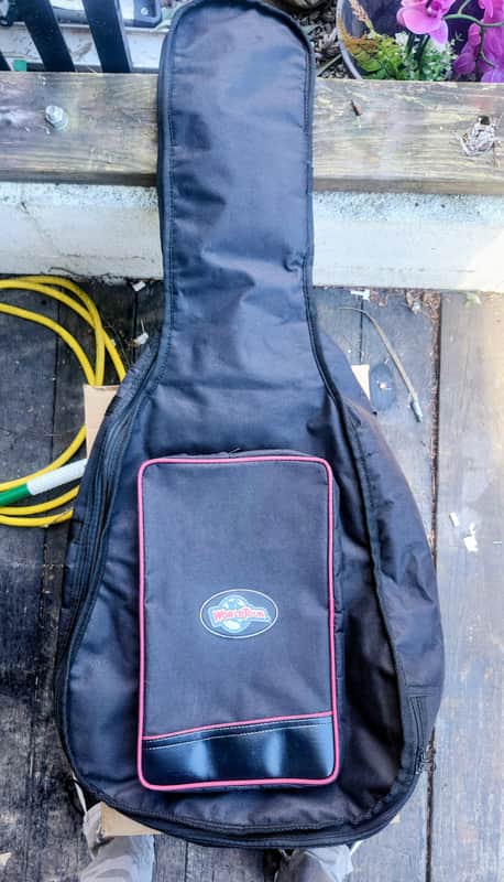 World Tour ACCOUSTIC PADDED GIG BAG image 1
