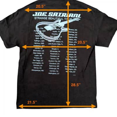 Vintage JOE SATRIANI 2002 Tour T-Shirt Men's (L) Black - 2000s Collectable, New Old Stock image 4