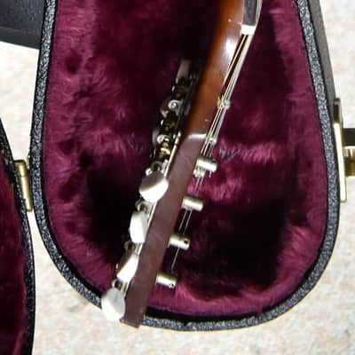 Kay N-7 1950's Mandolin image 11