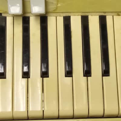 Salanti Vintage Accordion serial G100 image 9