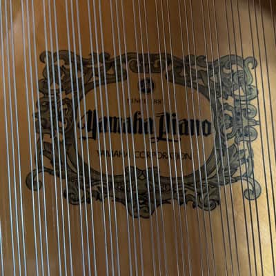 Yamaha Silent Piano - GB1KSC3 2023 - Ebony Polish image 9