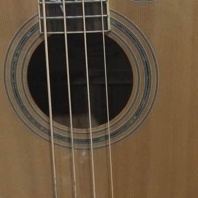 Waterstone Acoustic Bass guitar image 4