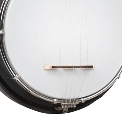 Gold Tone AC-Mini: Acoustic Composite Mini Banjo with Gig Bag image 3