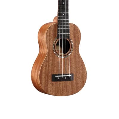 Alvarez RU22S Regent Series Ukulele, Natural/Satin image 1