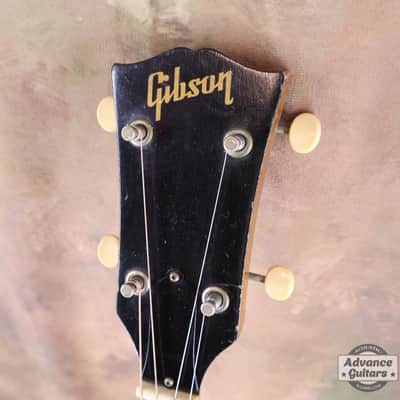 Gibson 1965 TG-0 image 14