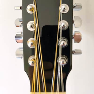 Eastman AC330E-12 - Natural image 8