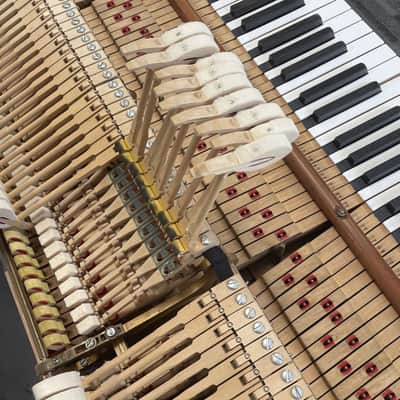 Steinway Model B 6'11" Grand Piano 1888 (Restored) - Satin Brazilian Rosewood image 19
