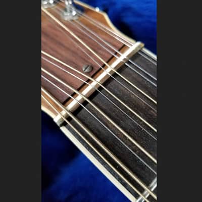 Taylor Model 855 12-String 1980 Natural image 4