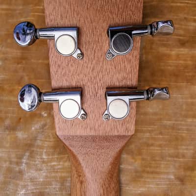 Liger Ukulele • Professional Tenor Ukulele with Built-in Amp and Speaker image 10