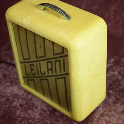 1940's Magnatone Leilani amp =Original= image 6