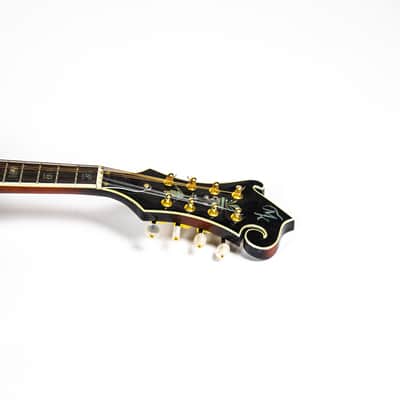 Michael Kelly F Style Mandolin Owned by Matt Freeman Of Rancid image 11