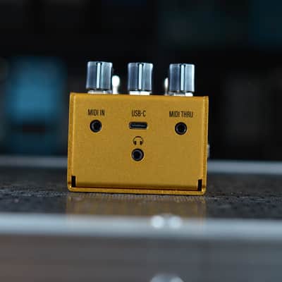 Walrus Audio Mako ACS1 MKII Amp + Cab Simulator 2024 - Present - Gold image 4