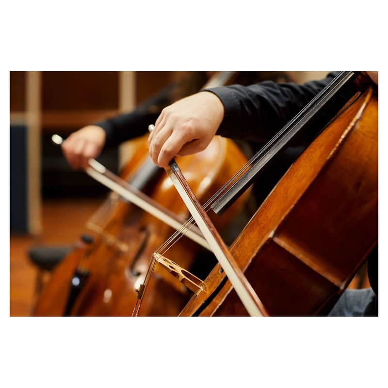 Spitfire Chamber Strings Professional 16 Players Kontakt (Activation Card) image 1