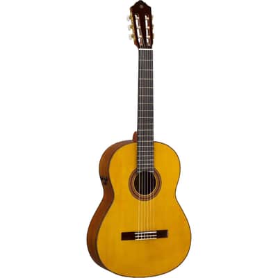 Yamaha Transacoustic Nylon String Cg Guitar image 6