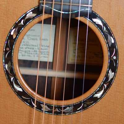 Kevin Ryan Paradiso Signature Series image 6