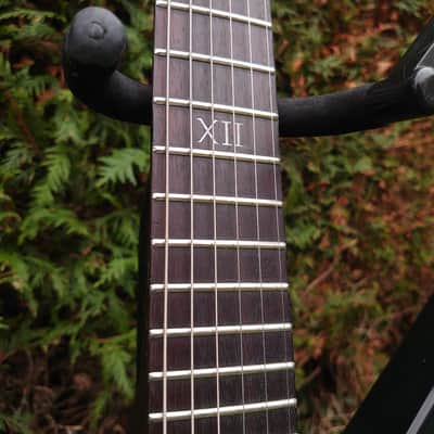 Epiphone Gothic Explorer 2009 image 10
