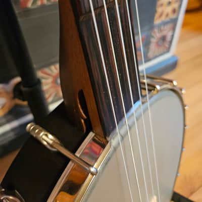 Kevin Enoch Tradesman Fretless Nylgut image 2