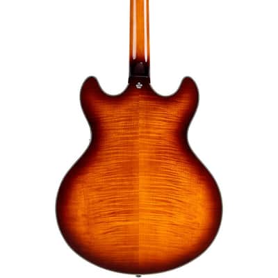 D'Angelico Premier DC Semi-Hollow Electric Guitar Regular Dark Iced Tea Burst image 2