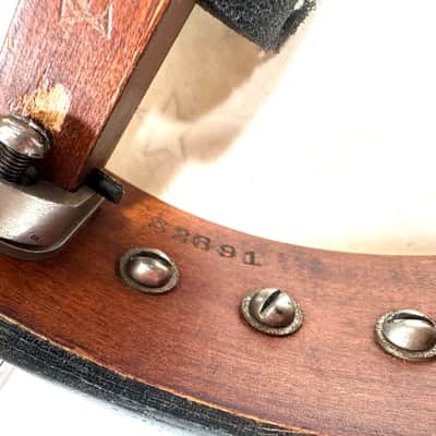 Vega vintage tenor cello banjo 4 strings with painted head New York made Style N “the Tabby” 1924 - Wood and half skin image 9