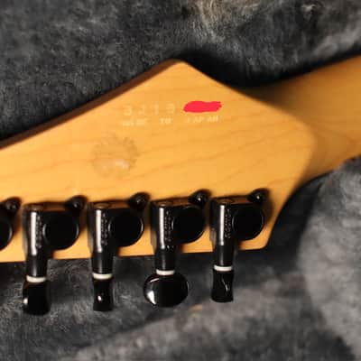 Yamaha RGZ820R Blues Saraceno 1993 Watermelon Plaid image 16