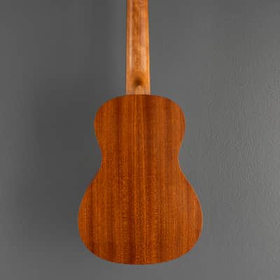 Cordoba Protege U1-M, Recent image 5