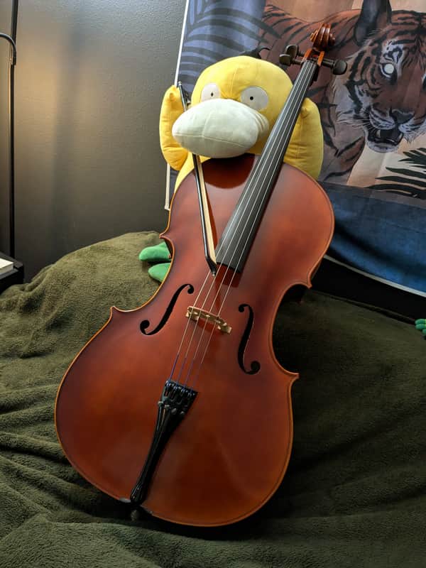 Cello Samuel Eastman VC100 4/4 size 1999 image 1