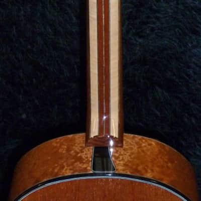 Maegen Wells-Lame Horse Collaboration Cosette Acoustic Flat Top Guitar with free Lame Horse Ukulele image 2