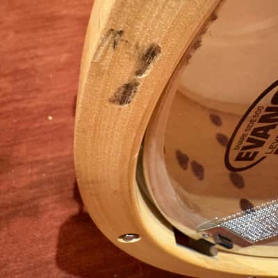 Tama LMP1465FSEN 6.5x14" S.L.P. Series Studio Maple Snare Drum with Wood Hoops 2013 - Present - Sienna Maple image 5