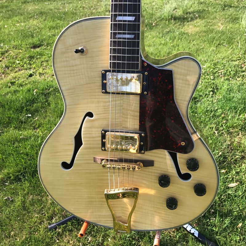 Johnson Archtop Hollowbody Electric Guitar Striped Maple image 1