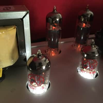 Bogner Atma 2022 - brand new tubes image 9