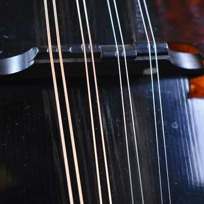 1910 Gibson F-2 Black Top image 15