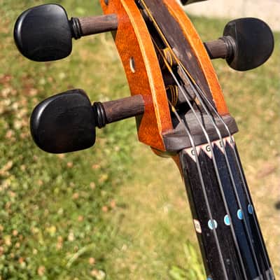 Westbury Eastman cello 4/4 - Hand varnish image 7