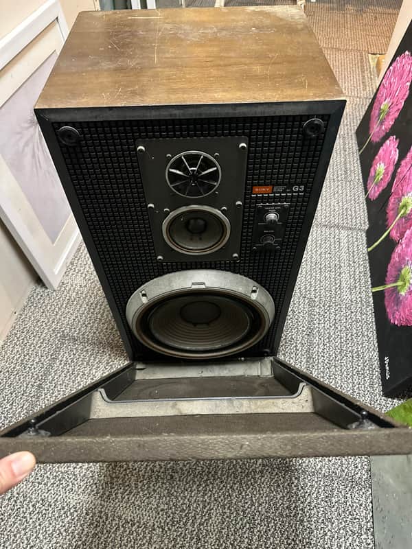 Sony SS-G3 1977 | Reverb