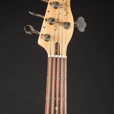 Alien Audio PP 5-String w/HSC image 4