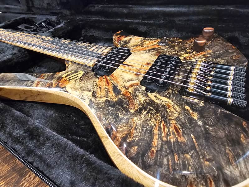Overload Custom Guitars Themis 2022 | Reverb