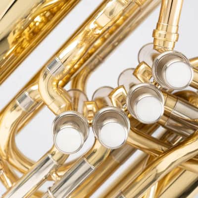 Adamson Model # ATU 621C "C" Piston Valve Tuba image 2
