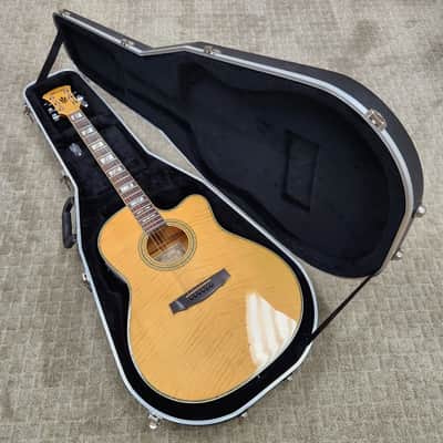 Mid 1990s Ibanez N800NT Slope-Shoulder Cutaway - Potential Prototype Unit w/ Hard Shell Case image 21