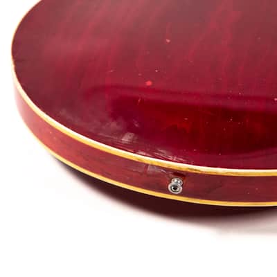 Epiphone Rivoil Owned by Mike Campbell image 18
