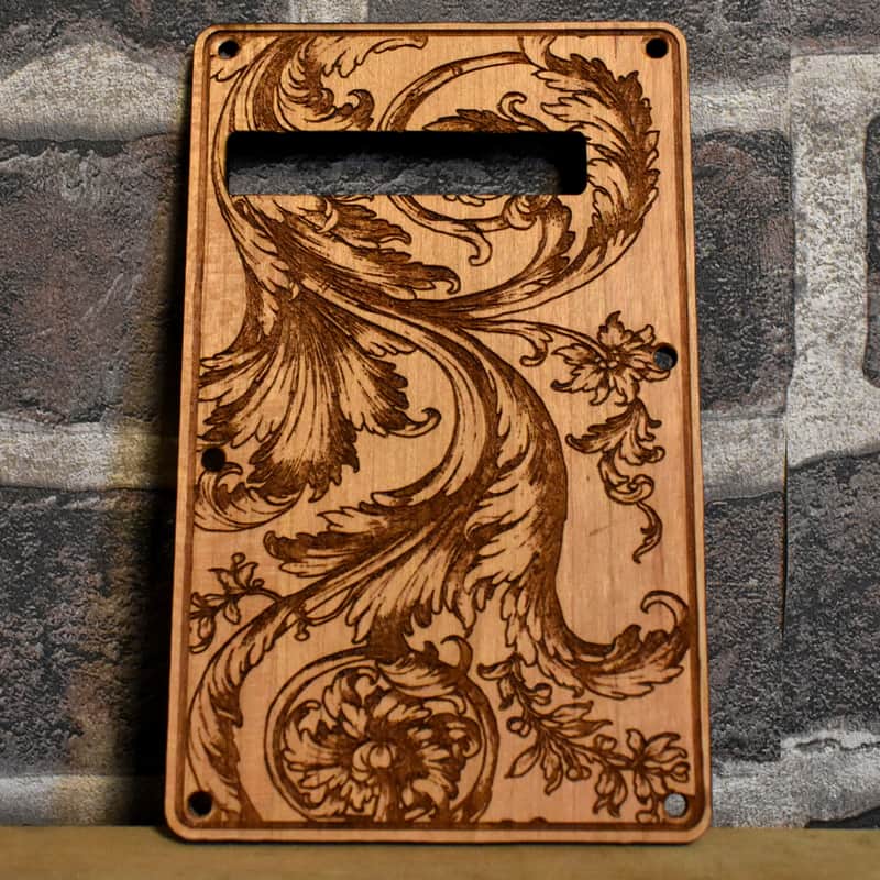 Fender Stratocaster Tremolo Backplate image 1