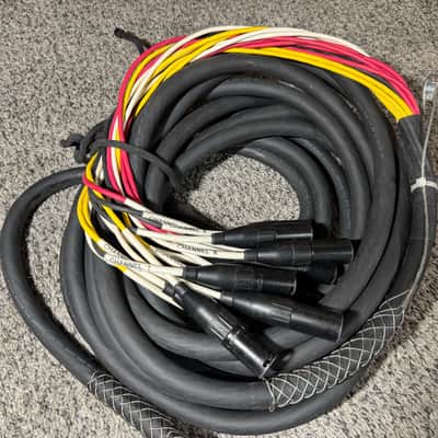 16 Channel Rack mount IEM Passive Split Snake Cable-6' and 30' XLR Trunks image 3
