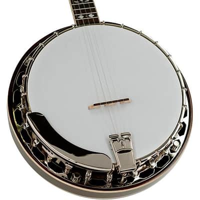 Recording King RK-R20 Songster 5-String Tone Ring Banjo, Dark Brown image 2