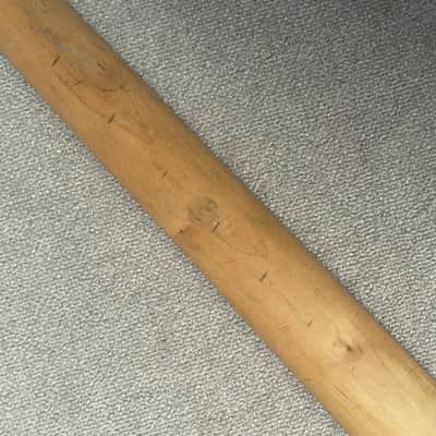 ESP LTD 4 String Electric Bass Maple Neck, Rosewood 24 Frets Fingerboard image 10